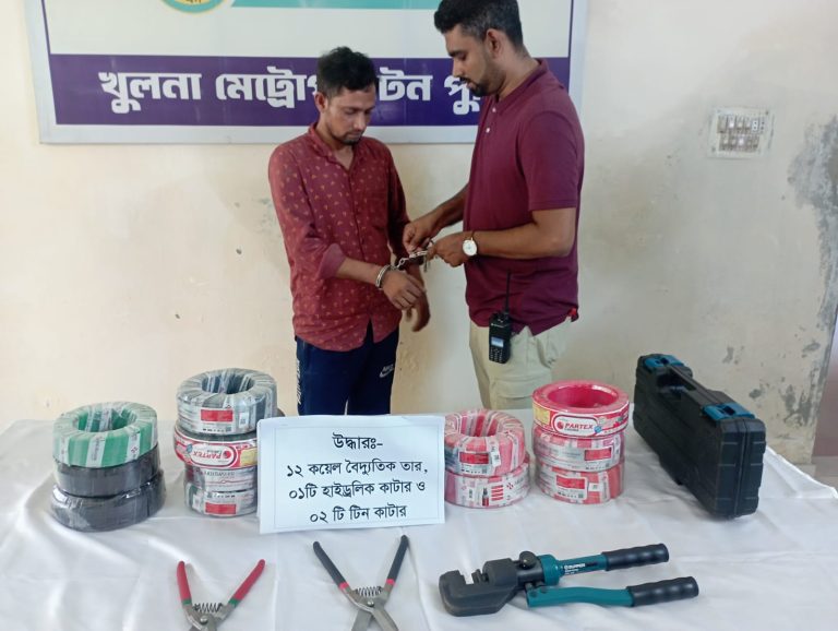 সোনাডাঙ্গায় বৈদ্যুতিক দোকানের চাল কেটে চুরি, ২৪ ঘণ্টার মধ্যে আটক চোর